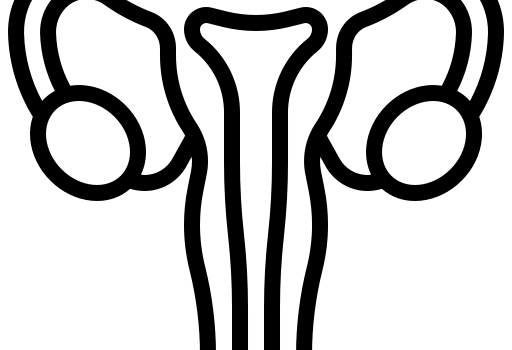 Médico ginecologista e obstetra perto de mim
