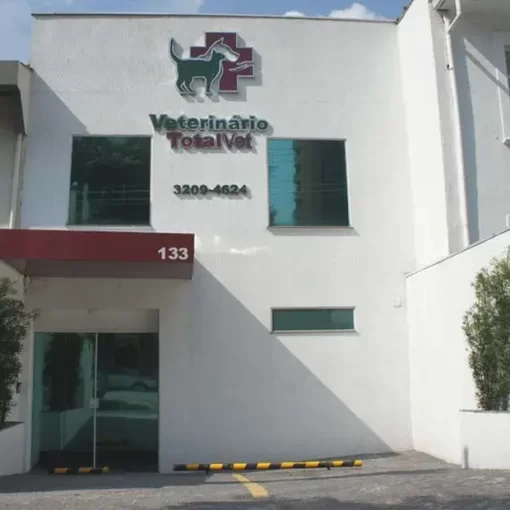 Clínica veterinária no centro