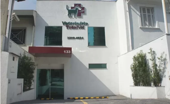Clínica veterinária no centro