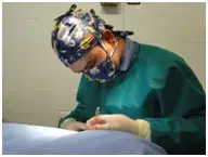 Ortopedia Veterinária