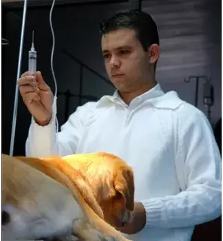 Veterinário
