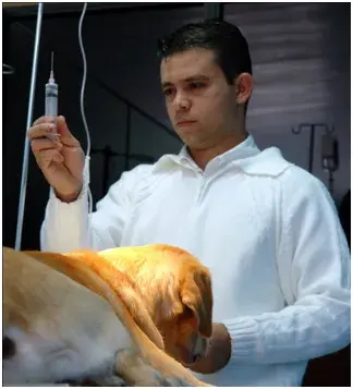 Veterinário