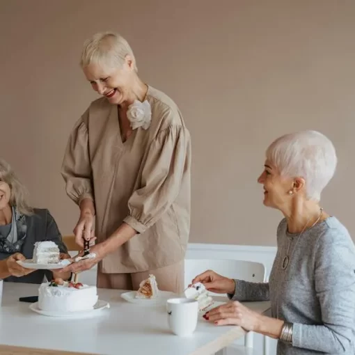 Casa de acolhimento para idosos na granja viana