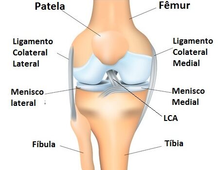 Cirurgião especialista em joelho