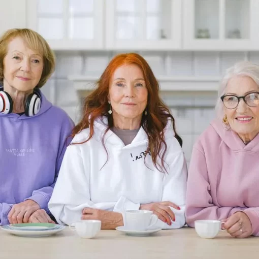 Instituição de longa permanência para idosos na granja viana