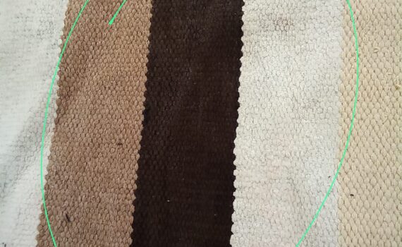 A Melhor Empresa de Lavagem de Tapetes