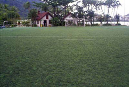 Campo de Grama Sintética