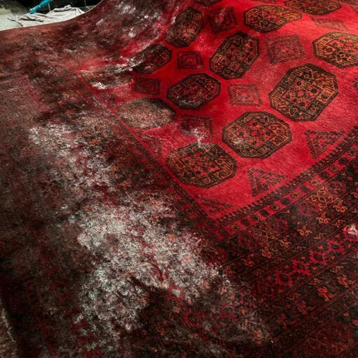 Lavagem de Tapetes na Zona Norte