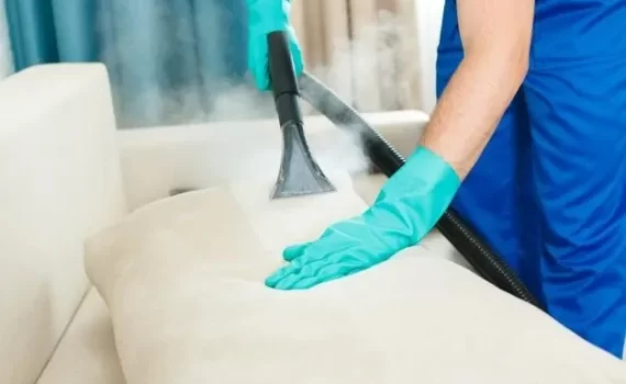 Lavagem de sofá Alphaville