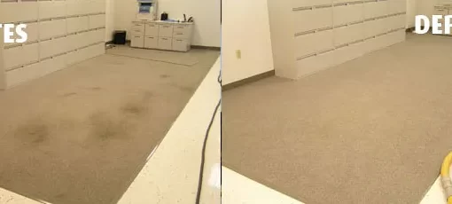 Lavagem de tapete preço