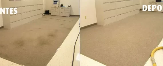 Lavagem de tapete preço