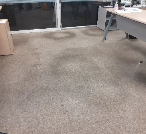 Limpeza de carpetes em Guarulhos