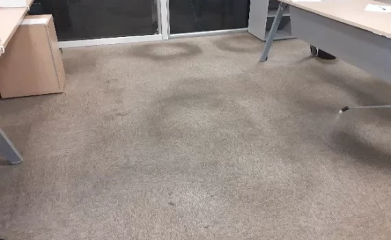 Limpeza de carpetes em Guarulhos