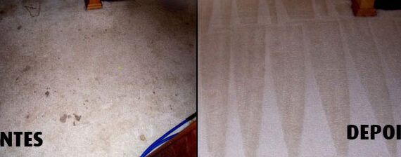 Limpeza de tapete