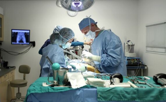 Veterinario Cirurgia