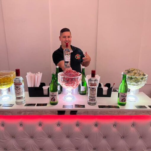 Barman para Eventos Barato