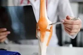 O melhor Reumatologista para tratamento de Dor / Dores atendendo um paciente em consultório moderno